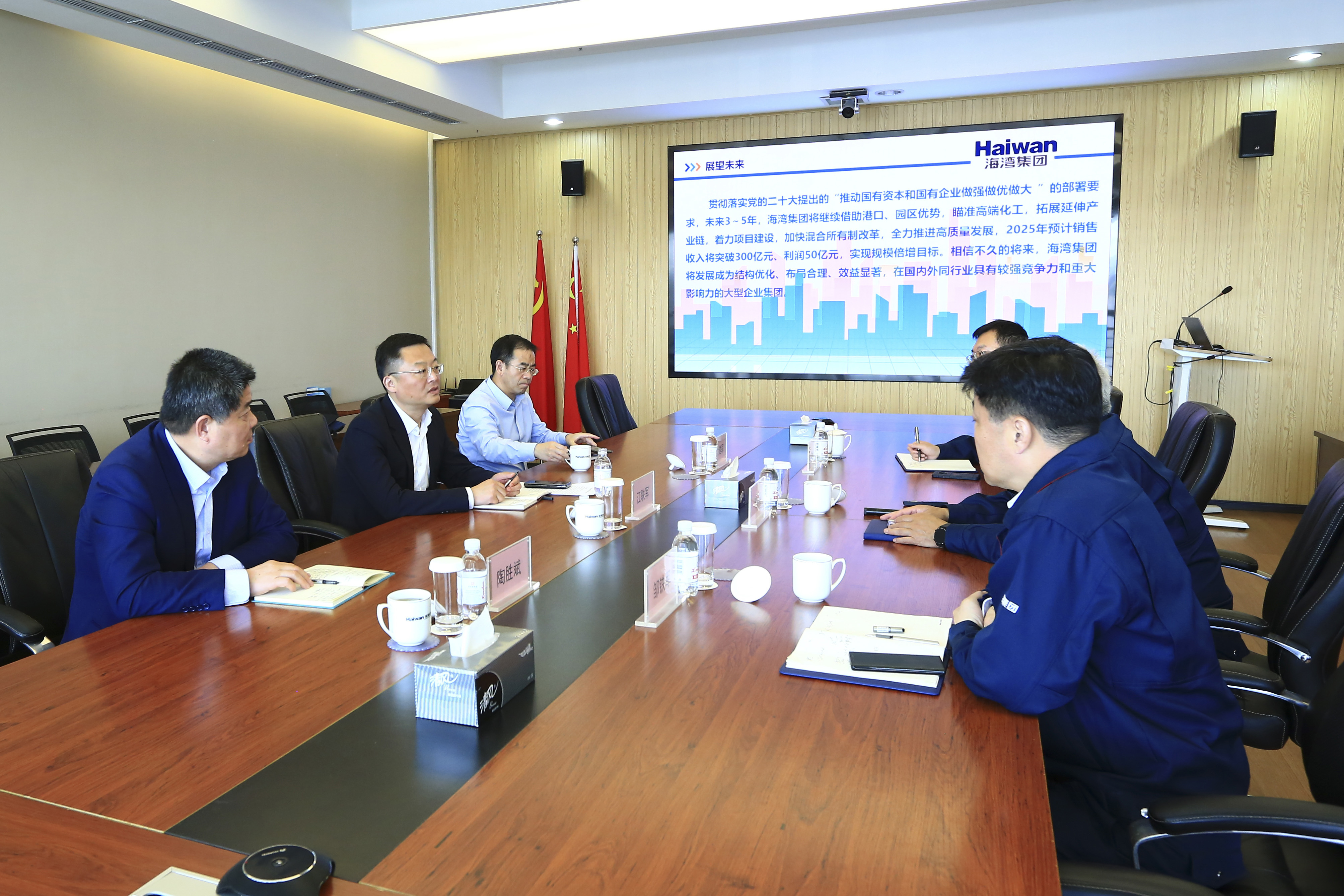 市政(zhèng)府副秘書長到海(hai)灣化學調研